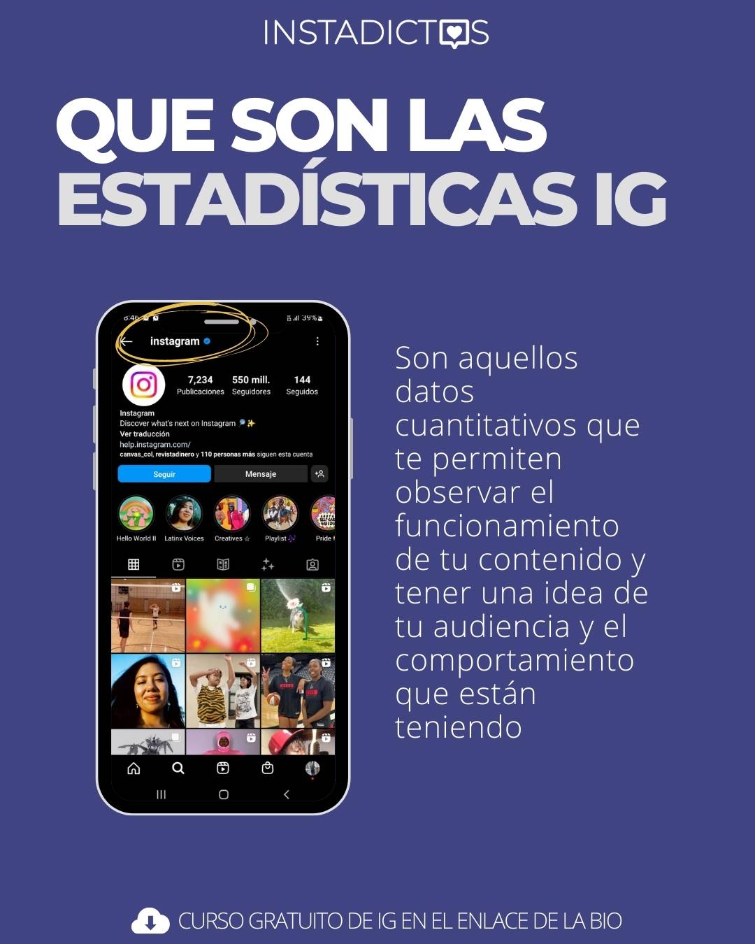 QuE son las estadísticas ig